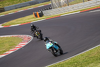 brands-hatch-photographs;brands-no-limits-trackday;cadwell-trackday-photographs;enduro-digital-images;event-digital-images;eventdigitalimages;no-limits-trackdays;peter-wileman-photography;racing-digital-images;snetterton;snetterton-no-limits-trackday;snetterton-photographs;snetterton-trackday-photographs;trackday-digital-images;trackday-photos